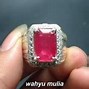 Harga Batu Cincin Merah Delima